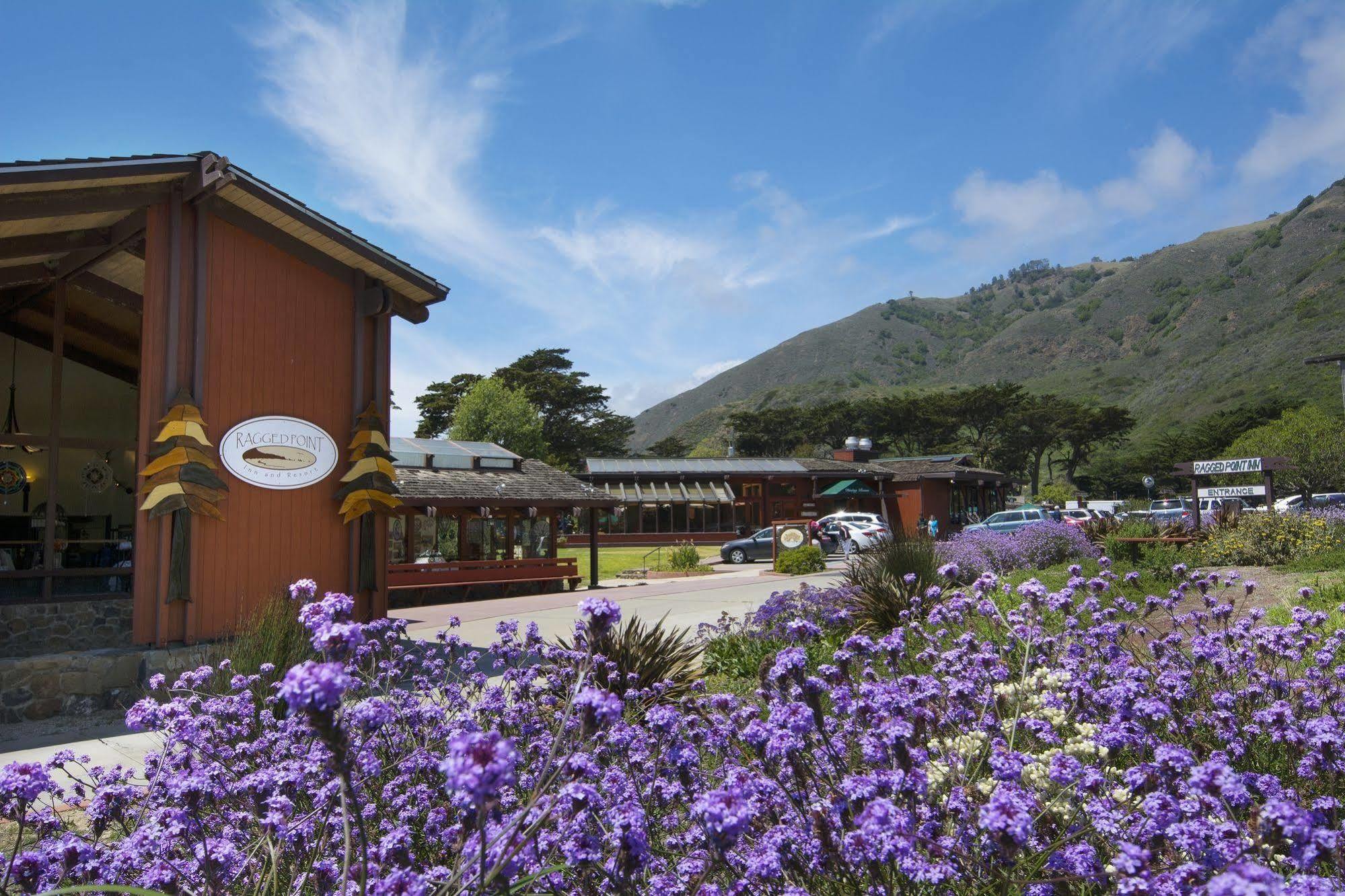 Ragged Point Inn Сан Саймън Екстериор снимка